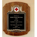 American Walnut Plaque w/ 2" Activity Insert (10 1/2"x13")